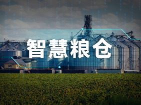 實時監(jiān)測+智能預(yù)警！松柏傳感氣體傳感器助力綠色儲糧